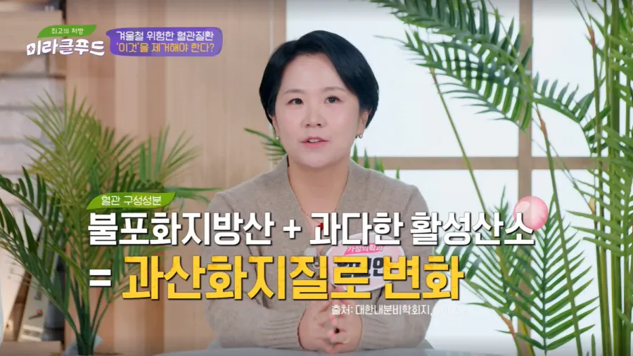JTBC 미라클푸드